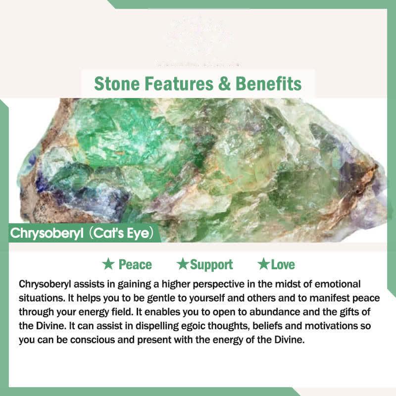 Buddhist Blessing 925 Sterling Silver 12 Constellations of the Zodiac Cat's Eye Love Support Necklace Pendant