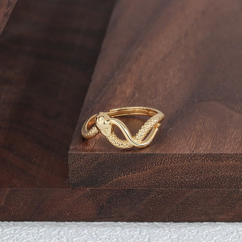 Buddhist Blessing 925 Sterling Silver Year Of The Snake Calm Ring