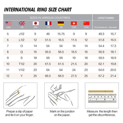 Buddha Stones Sterling Silver Lotus Zircon Blessing Protection Ring